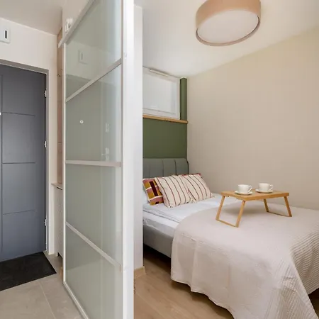 W Centrum Katowic Z Klimatyzacja By Renters * 카토비체