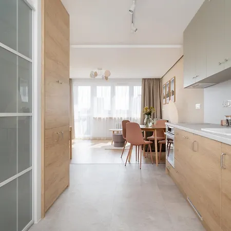 W Centrum Katowic Z Klimatyzacja By Renters * 카토비체