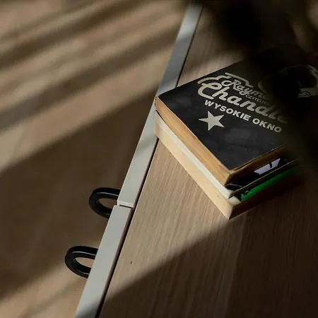 W Centrum Katowic Z Klimatyzacja By Renters 카토비체