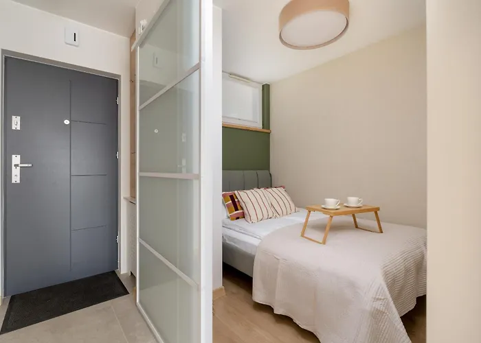 W Centrum Katowic Z Klimatyzacja By Renters * Katovice