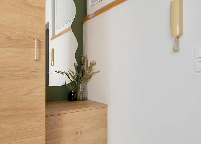 W Centrum Katowic Z Klimatyzacją By Renters *