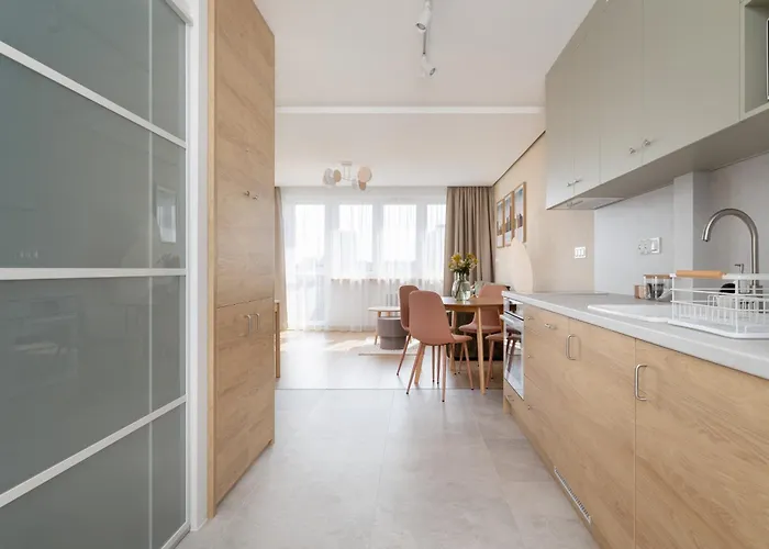 W Centrum Katowic Z Klimatyzacja By Renters * Katovice