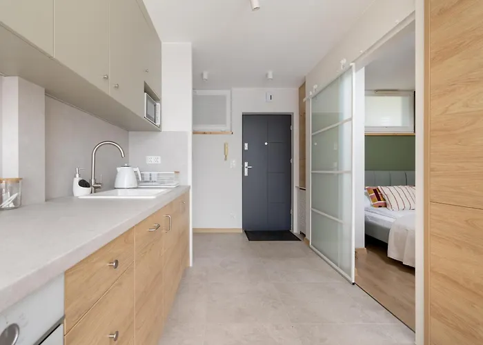 W Centrum Katowic Z Klimatyzacją By Renters