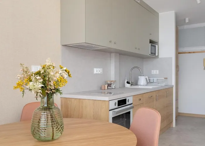 W Centrum Katowic Z Klimatyzacja By Renters Apartmán *