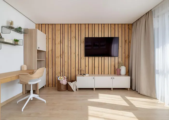 W Centrum Katowic Z Klimatyzacją By Renters *