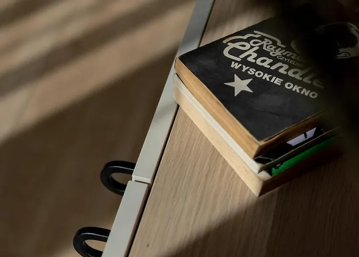 W Centrum Katowic Z Klimatyzacja By Renters Katowice